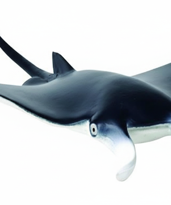 Animal Figures  - Manta Ray