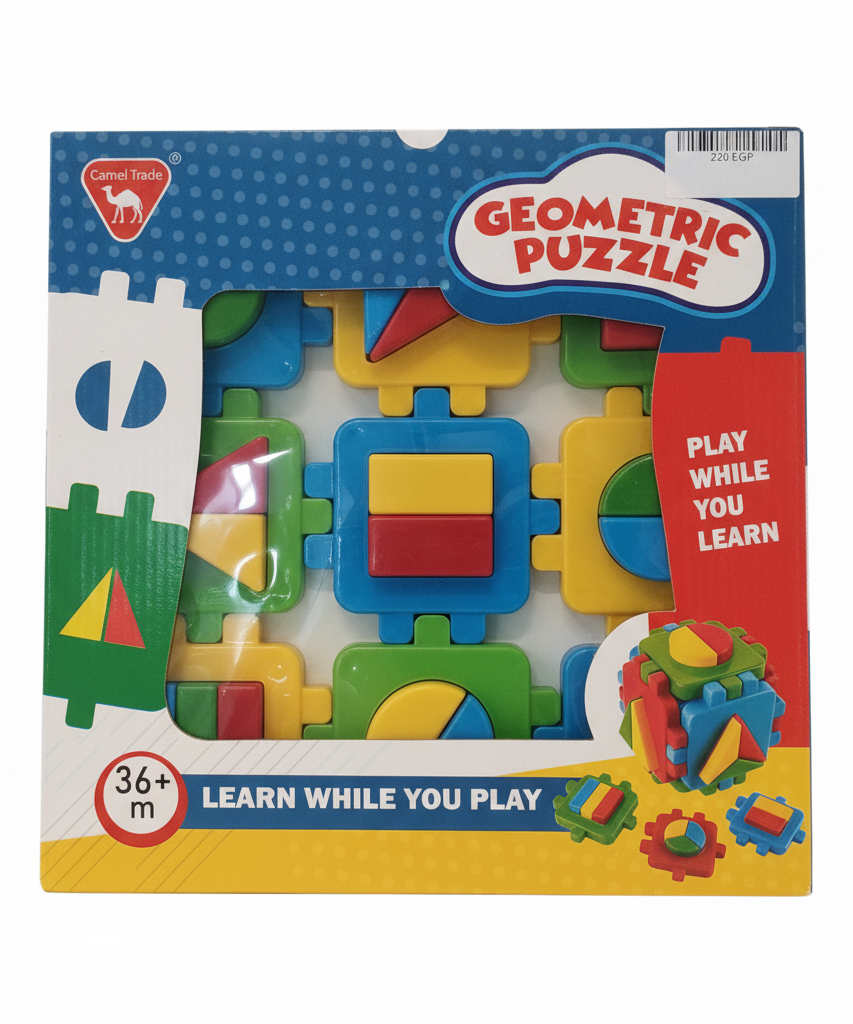 Geometric Puzzle