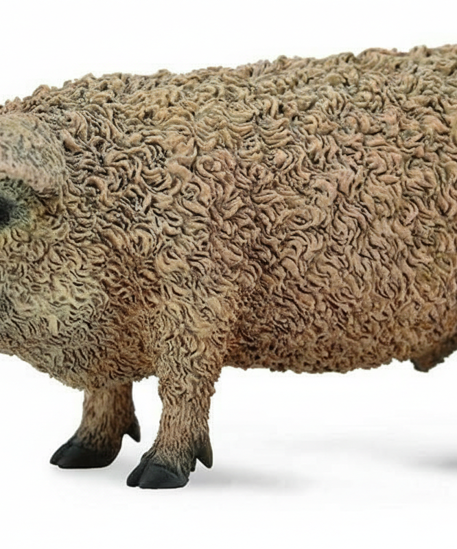 Animal Figures  - Hungarian Pig