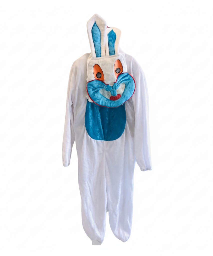 Rabbit Costume