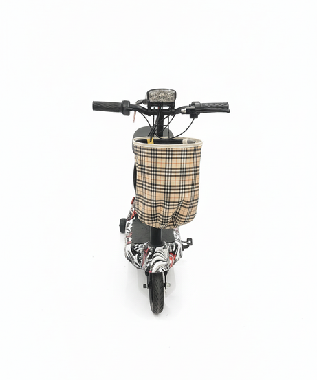 E-Scooter With Seat