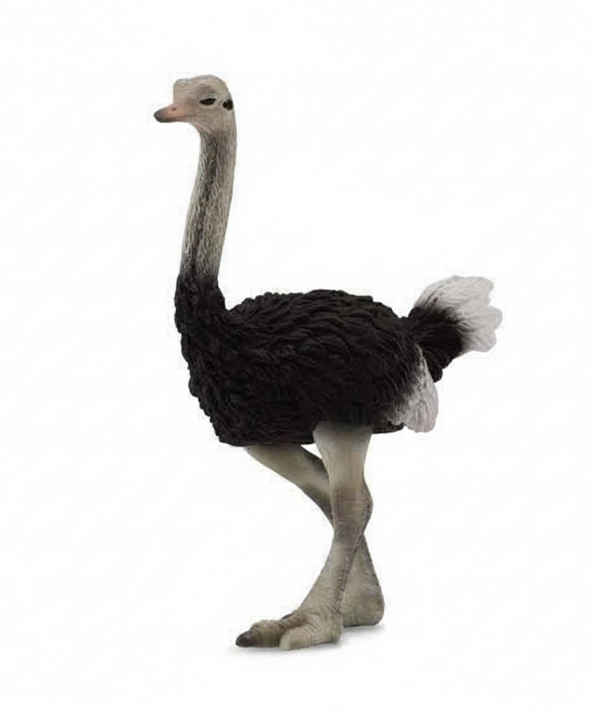 Animal Figures  - Ostrich