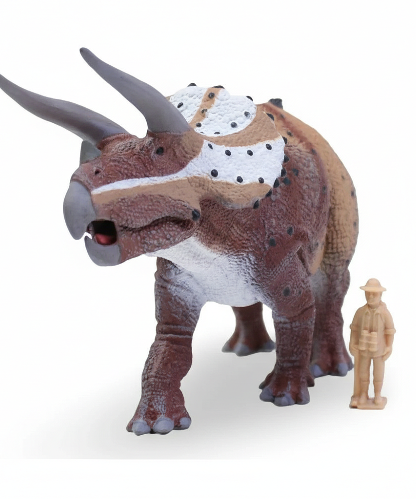 Animal Figures  - Triceratops Horridus