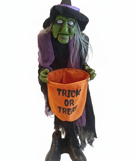 Halloween The Green Witch Trick Or Treat