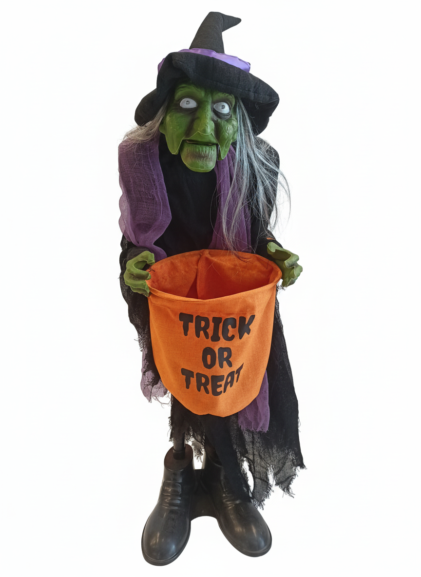 Halloween The Green Witch Trick Or Treat