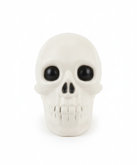 Horror Halloween Skeleton Head