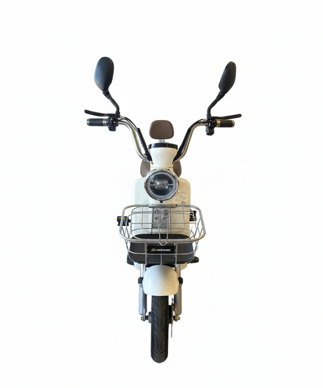 Scooter Electric 500W