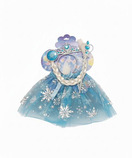 Minne Elsa Costume