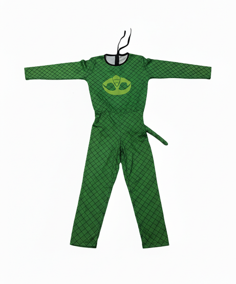 P J Mask Costume