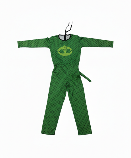 P J Mask Costume