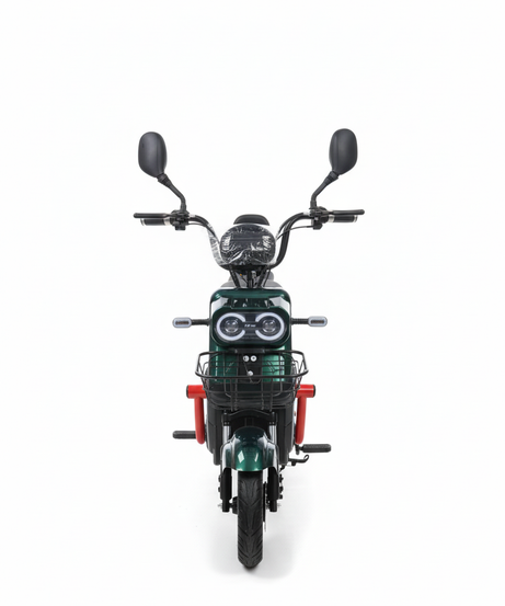 Scooter Electric 500W